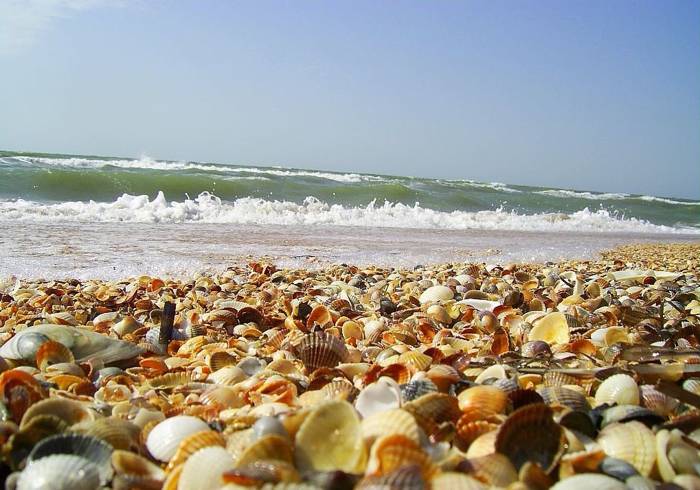 Чем опасно Азовское море Мелкое, спокойное и теплое Азовское море?