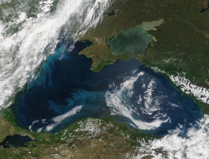 В Чёрном море находится опасность, которая скрывается под толщей воды