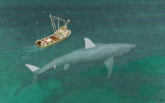 В Марианской впадине нашли доисторическую гигантскую акулу мегалодон